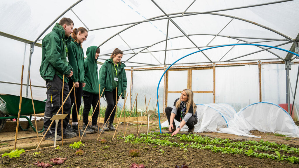 Land-based Industry students in a greenhouse
