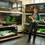 Someone holding a snake with other reptiles in the background