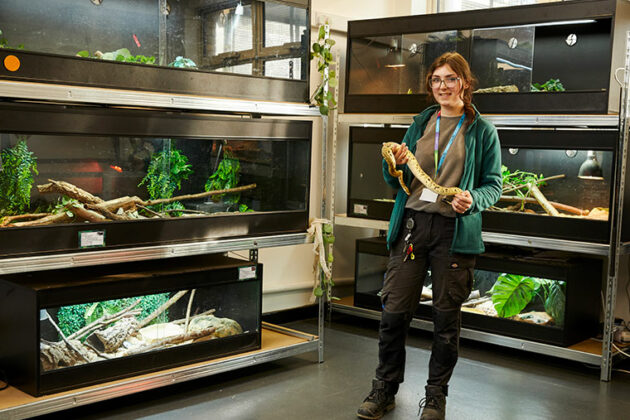 Someone holding a snake with other reptiles in the background