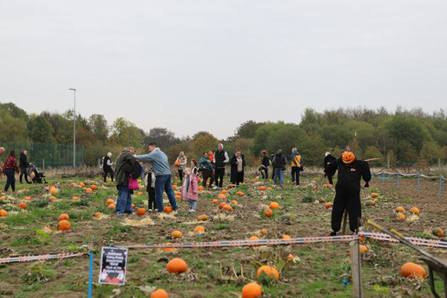 The 2025 pumpkin picking event at DVC