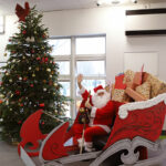 Santa sat in his sleigh with a Christmas tree in the background