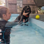 An animal care student in a pool supporting a dog