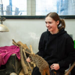 A female smiling sat in an animal enclosure with a meerkat stood on her knee