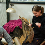 A female smiling down at a meerkat that is stood up tall on her knee